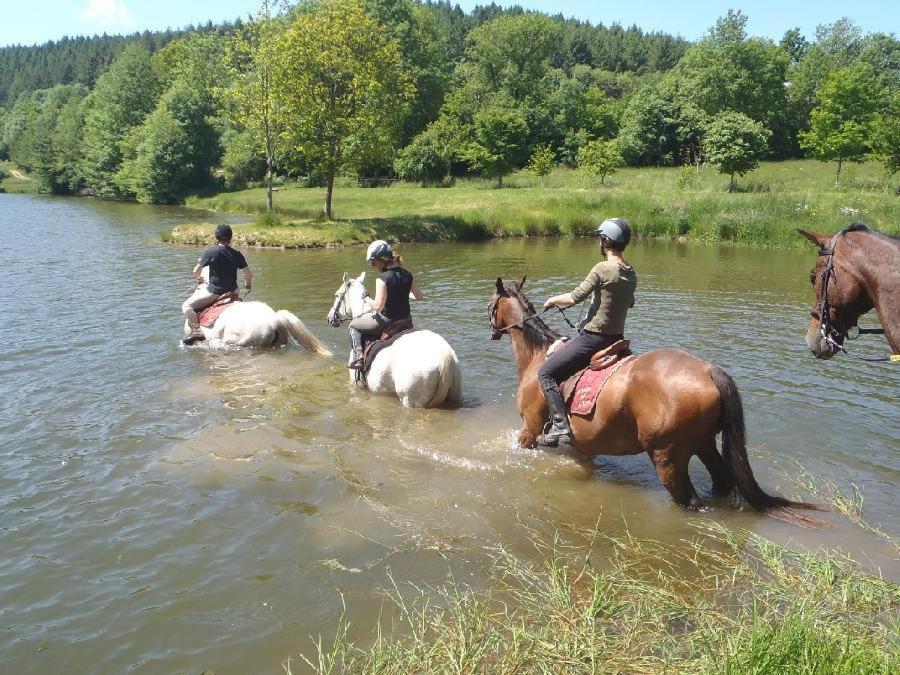 Le Relais Des Lacs Bourgogne Morvan Hotel Planchez Bagian luar foto