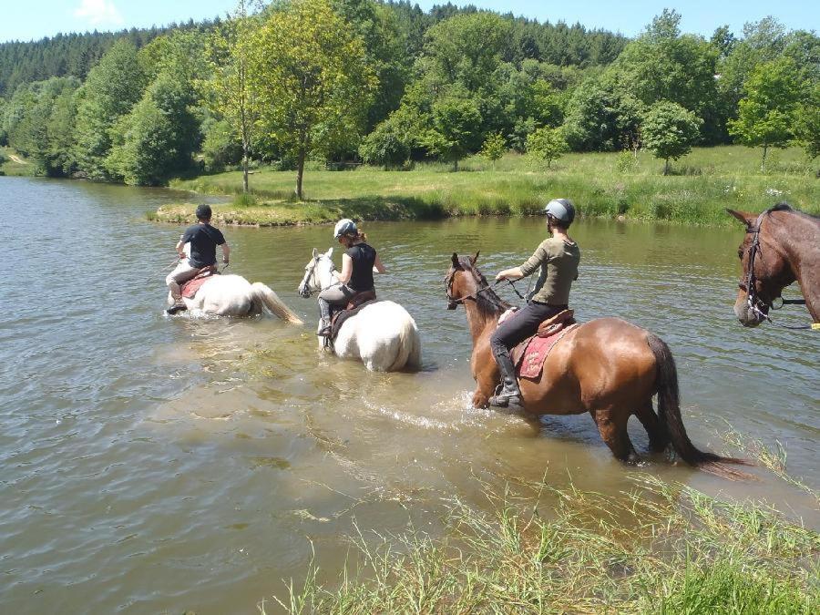Le Relais Des Lacs Bourgogne Morvan Planchez Bagian luar foto