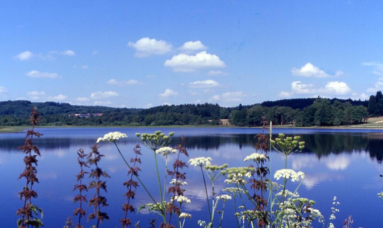 Le Relais Des Lacs Bourgogne Morvan Hotel Planchez Bagian luar foto